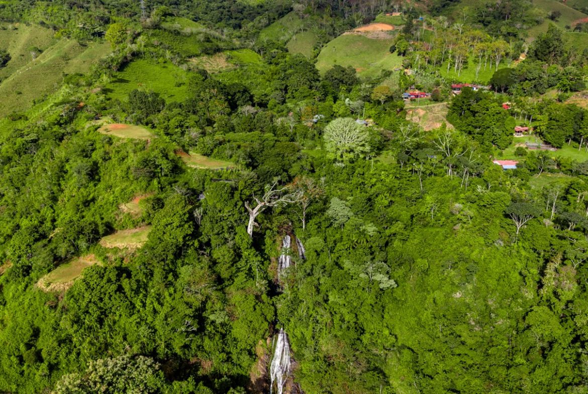 DEVELOPMENT PROPERTY WITH MOUNTAINS VIEWS AND NEAR TO THE CASCADE, IN LA PALMA – 12 ACRES
