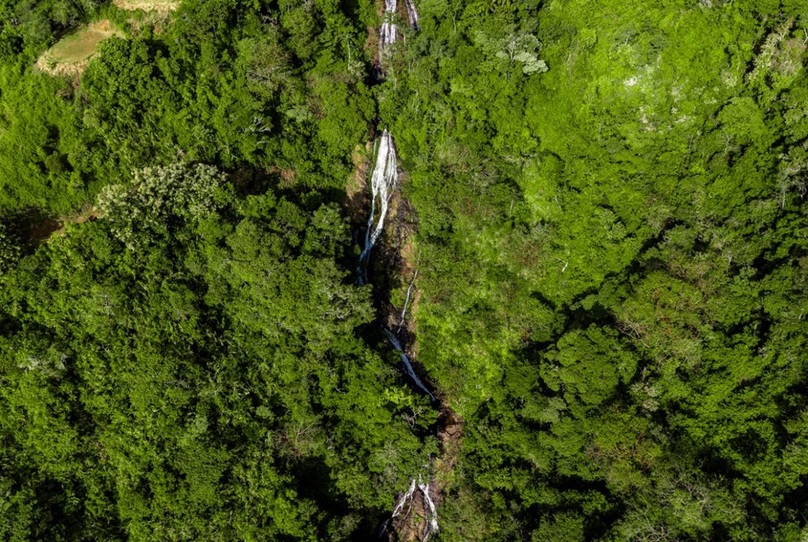 DEVELOPMENT PROPERTY WITH MOUNTAINS VIEWS AND NEAR TO THE CASCADE, IN LA PALMA – 12 ACRES
