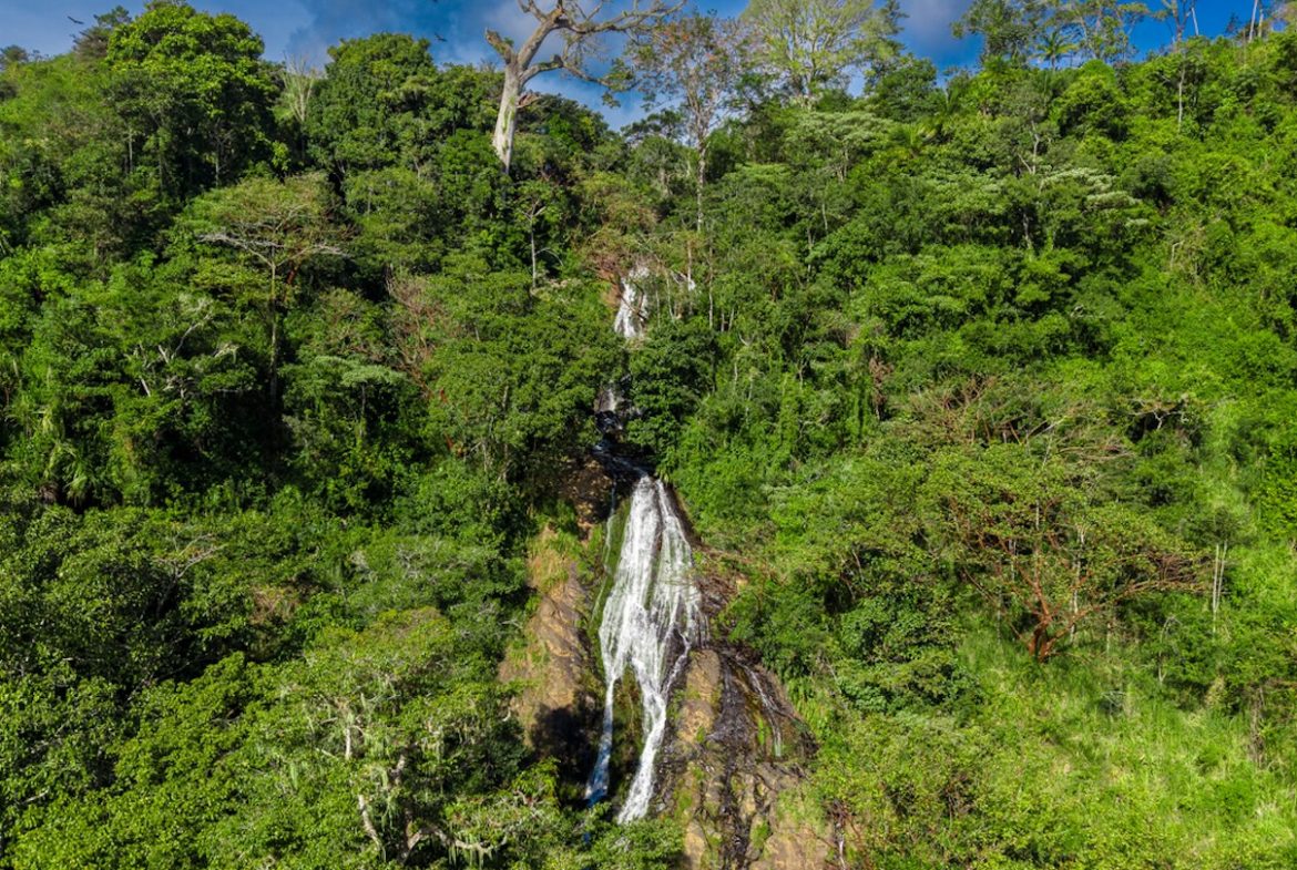 DEVELOPMENT PROPERTY WITH MOUNTAINS VIEWS AND NEAR TO THE CASCADE, IN LA PALMA – 12 ACRES