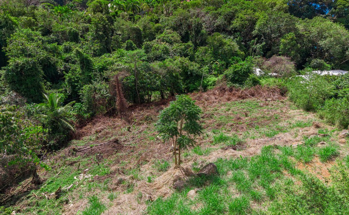 BUILDING PROPERTY WITH OCEAN VIEWS FRONT, IN ESCALERAS – 0.84 ACRES