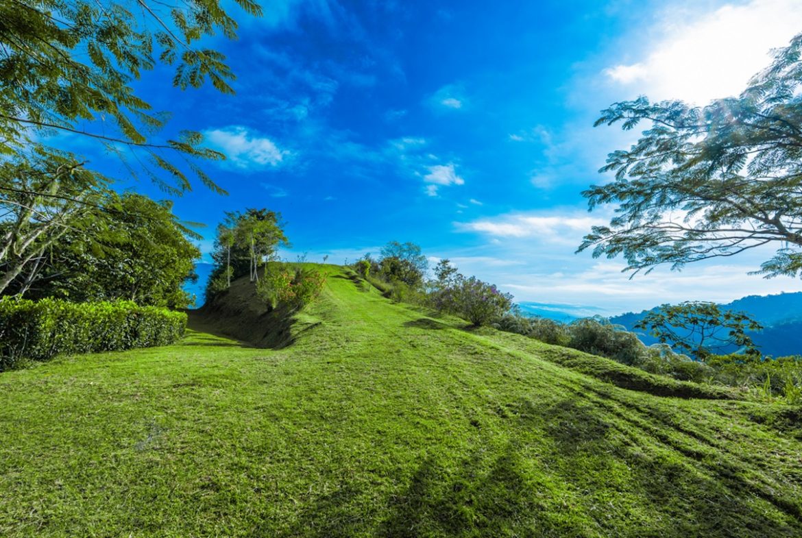DEVELOPMENT PROPERTY WITH MOUNTAINS VIEWS AND NEAR TO THE CASCADE, IN LA PALMA – 12 ACRES
