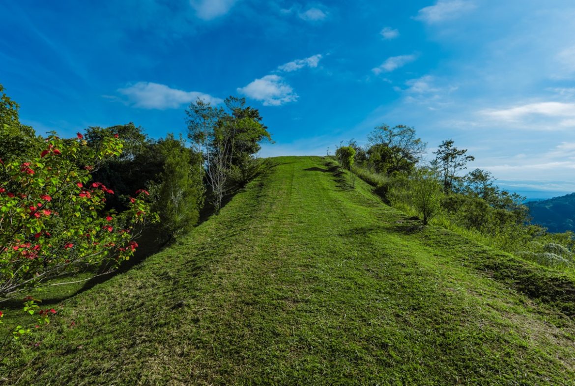 DEVELOPMENT PROPERTY WITH MOUNTAINS VIEWS AND NEAR TO THE CASCADE, IN LA PALMA – 12 ACRES