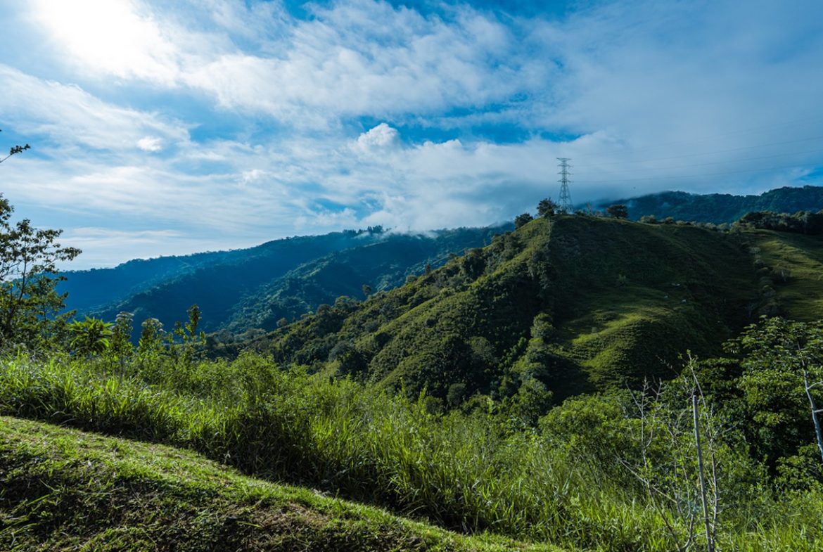 DEVELOPMENT PROPERTY WITH MOUNTAINS VIEWS AND NEAR TO THE CASCADE, IN LA PALMA – 12 ACRES