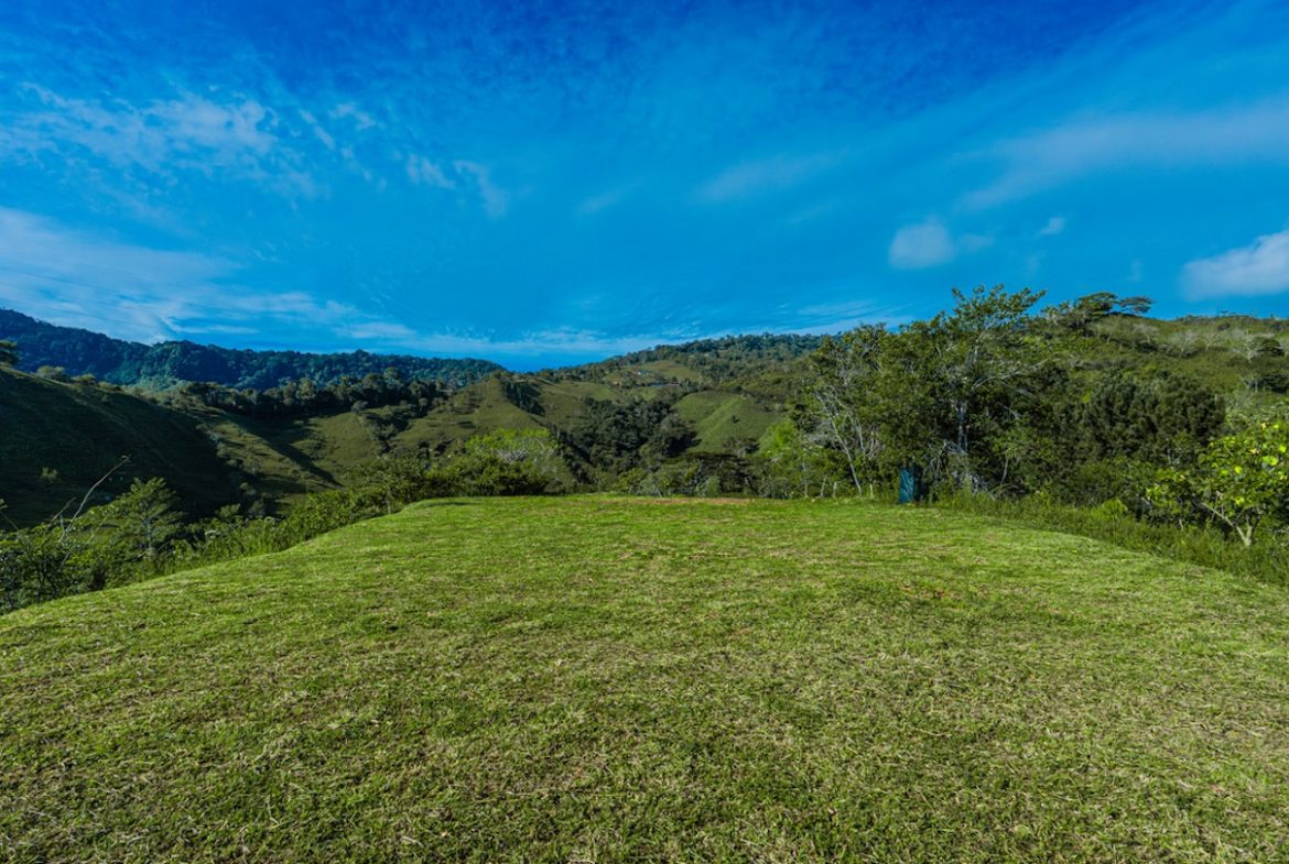 DEVELOPMENT PROPERTY WITH MOUNTAINS VIEWS AND NEAR TO THE CASCADE, IN LA PALMA – 12 ACRES
