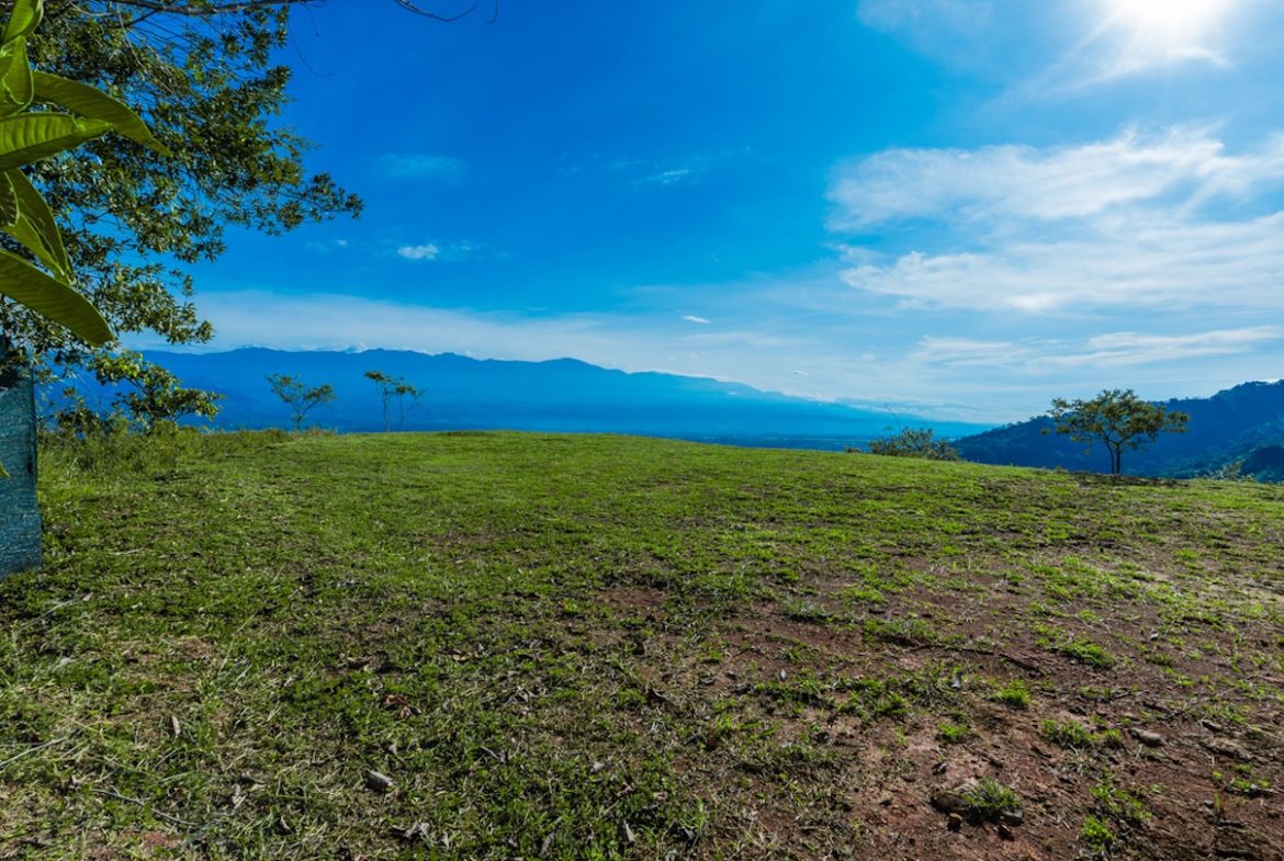 DEVELOPMENT PROPERTY WITH MOUNTAINS VIEWS AND NEAR TO THE CASCADE, IN LA PALMA – 12 ACRES