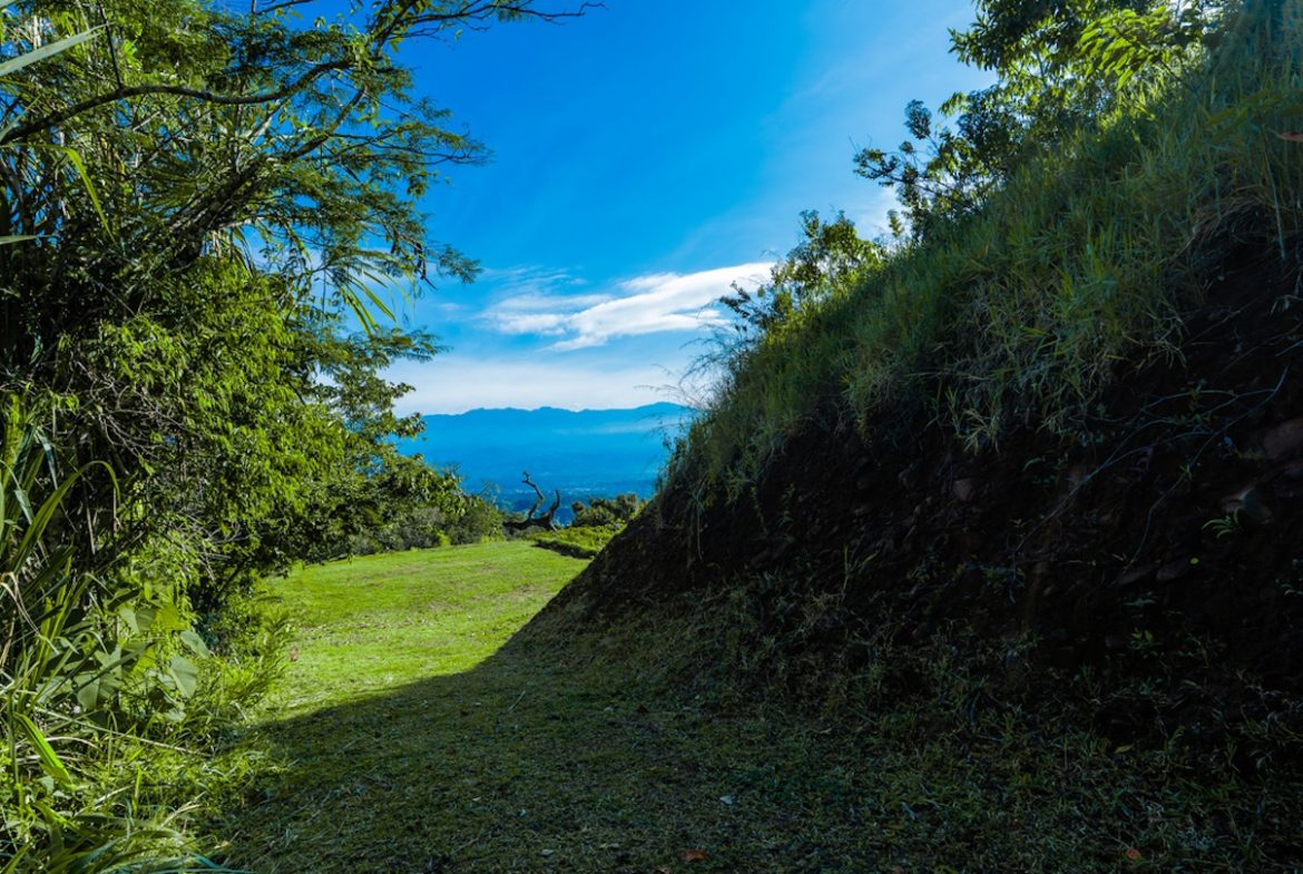 DEVELOPMENT PROPERTY WITH MOUNTAINS VIEWS AND NEAR TO THE CASCADE, IN LA PALMA – 12 ACRES