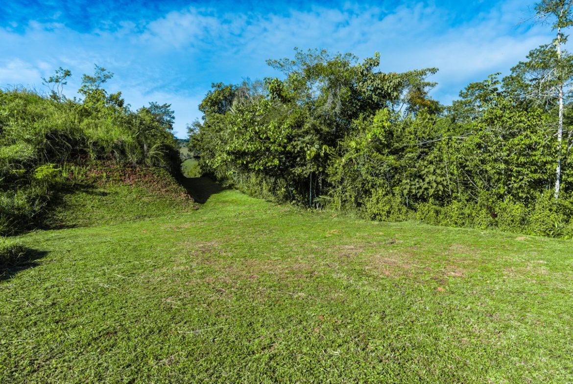 DEVELOPMENT PROPERTY WITH MOUNTAINS VIEWS AND NEAR TO THE CASCADE, IN LA PALMA – 12 ACRES