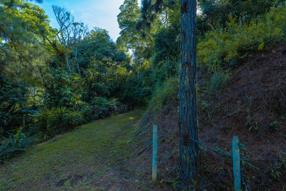 DEVELOPMENT PROPERTY WITH MOUNTAINS VIEWS AND NEAR TO THE CASCADE, IN LA PALMA – 12 ACRES
