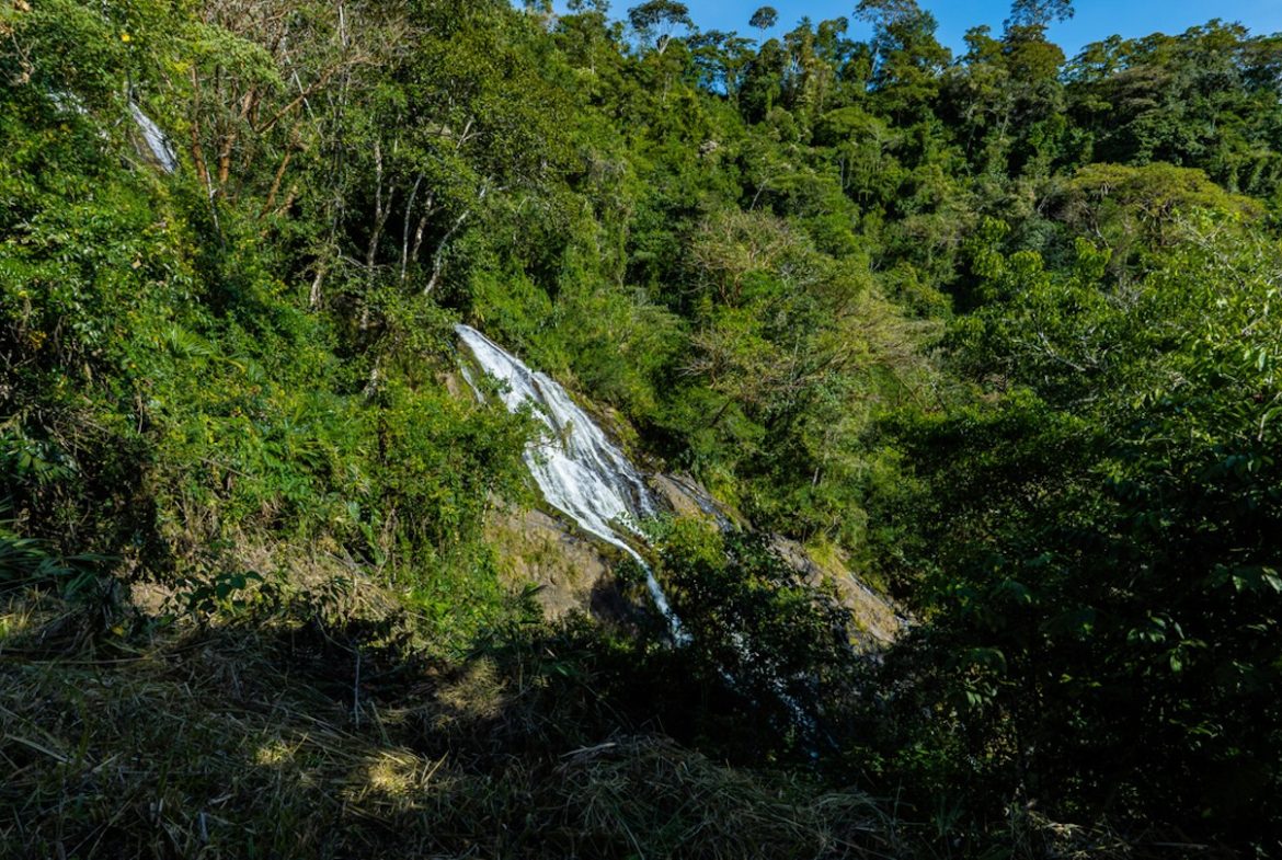 DEVELOPMENT PROPERTY WITH MOUNTAINS VIEWS AND NEAR TO THE CASCADE, IN LA PALMA – 12 ACRES