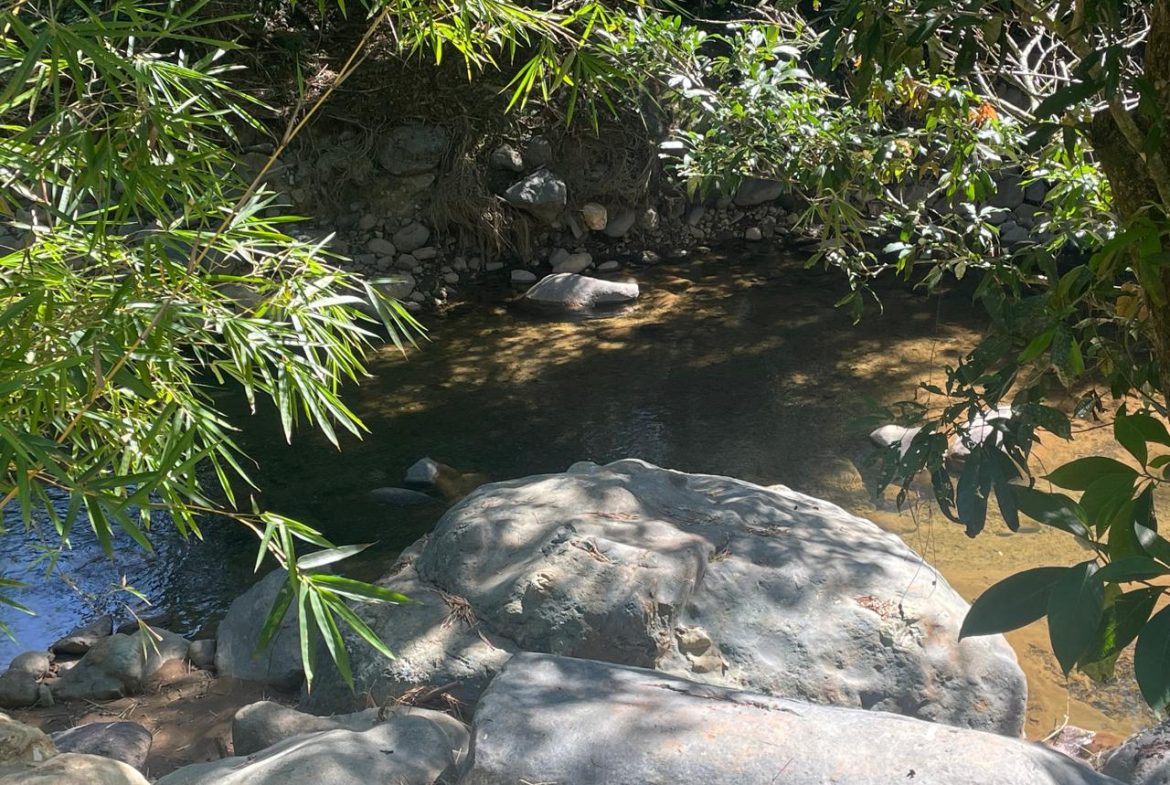 PRIVATE RIVERFRONT ESTATE WITH MAIN HOME, GUEST CABIN AND LUSH GROUNDS ON 0.68-ACRE