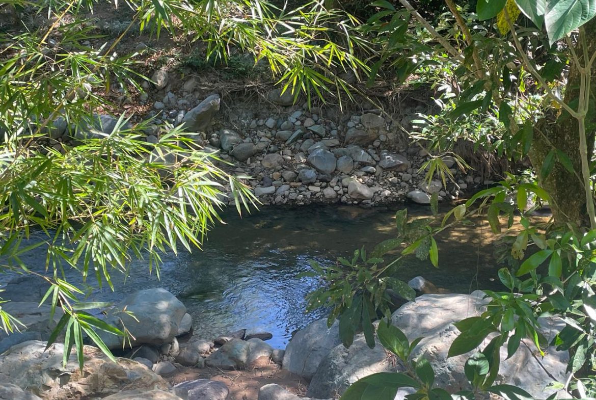 PRIVATE RIVERFRONT ESTATE WITH MAIN HOME, GUEST CABIN AND LUSH GROUNDS ON 0.68-ACRE