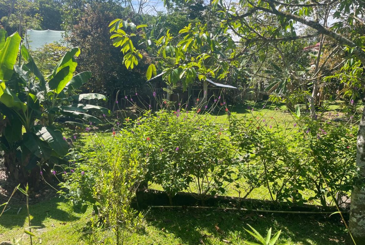 PRIVATE RIVERFRONT ESTATE WITH MAIN HOME, GUEST CABIN AND LUSH GROUNDS ON 0.68-ACRE