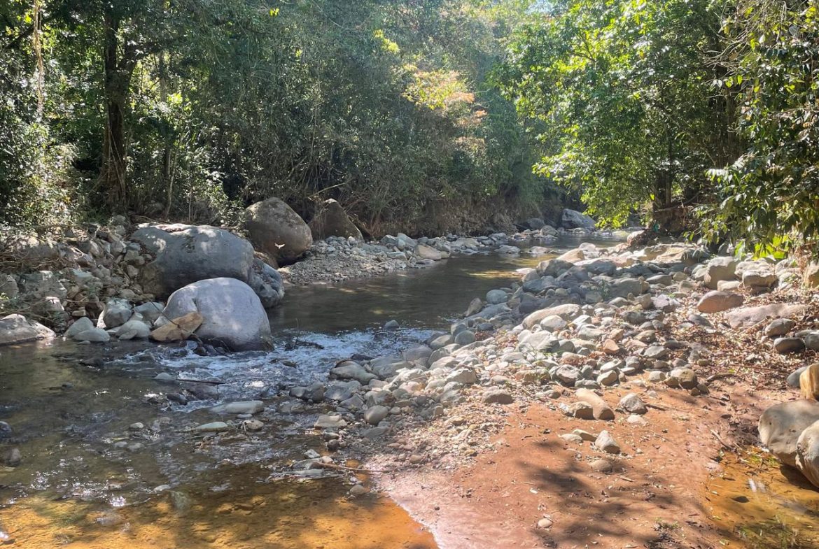PRIVATE RIVERFRONT ESTATE WITH MAIN HOME, GUEST CABIN AND LUSH GROUNDS ON 0.68-ACRE