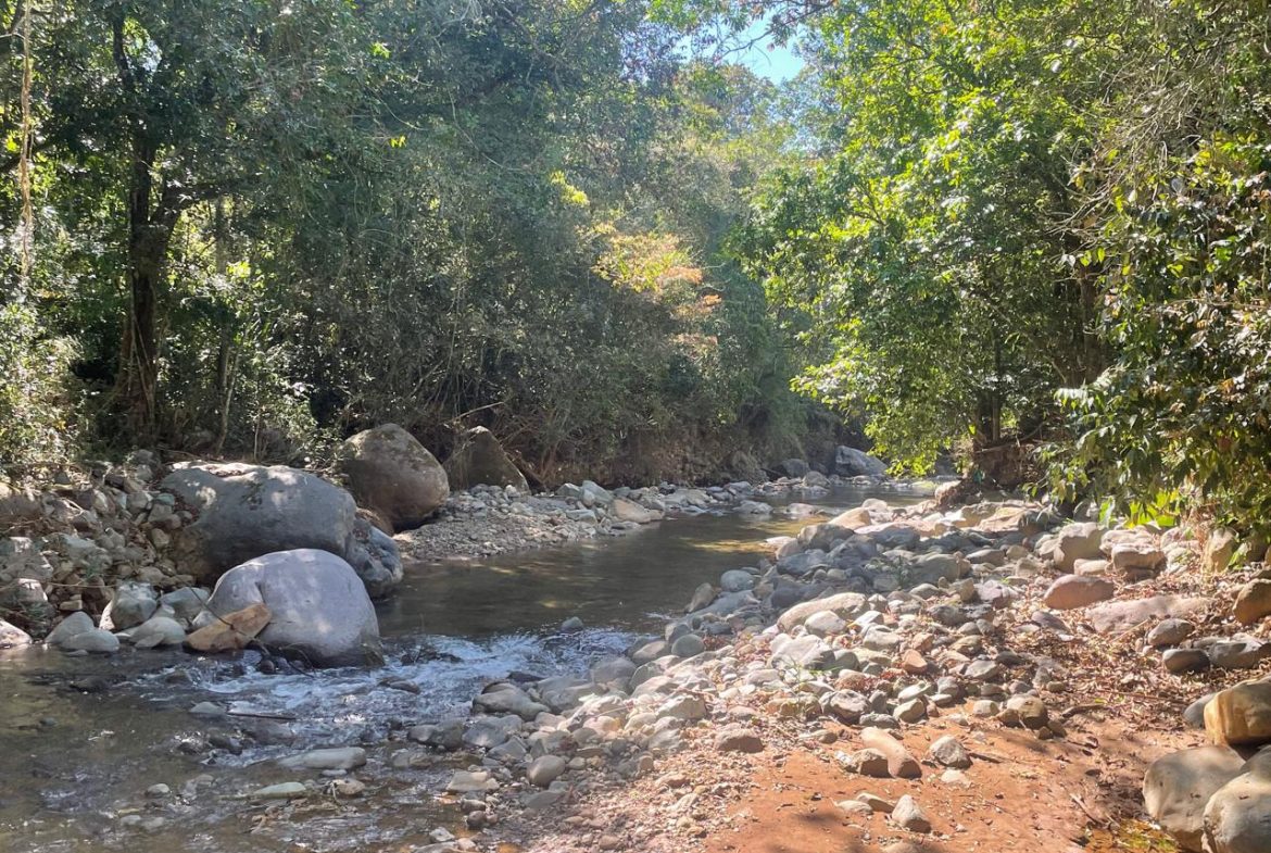 PRIVATE RIVERFRONT ESTATE WITH MAIN HOME, GUEST CABIN AND LUSH GROUNDS ON 0.68-ACRE