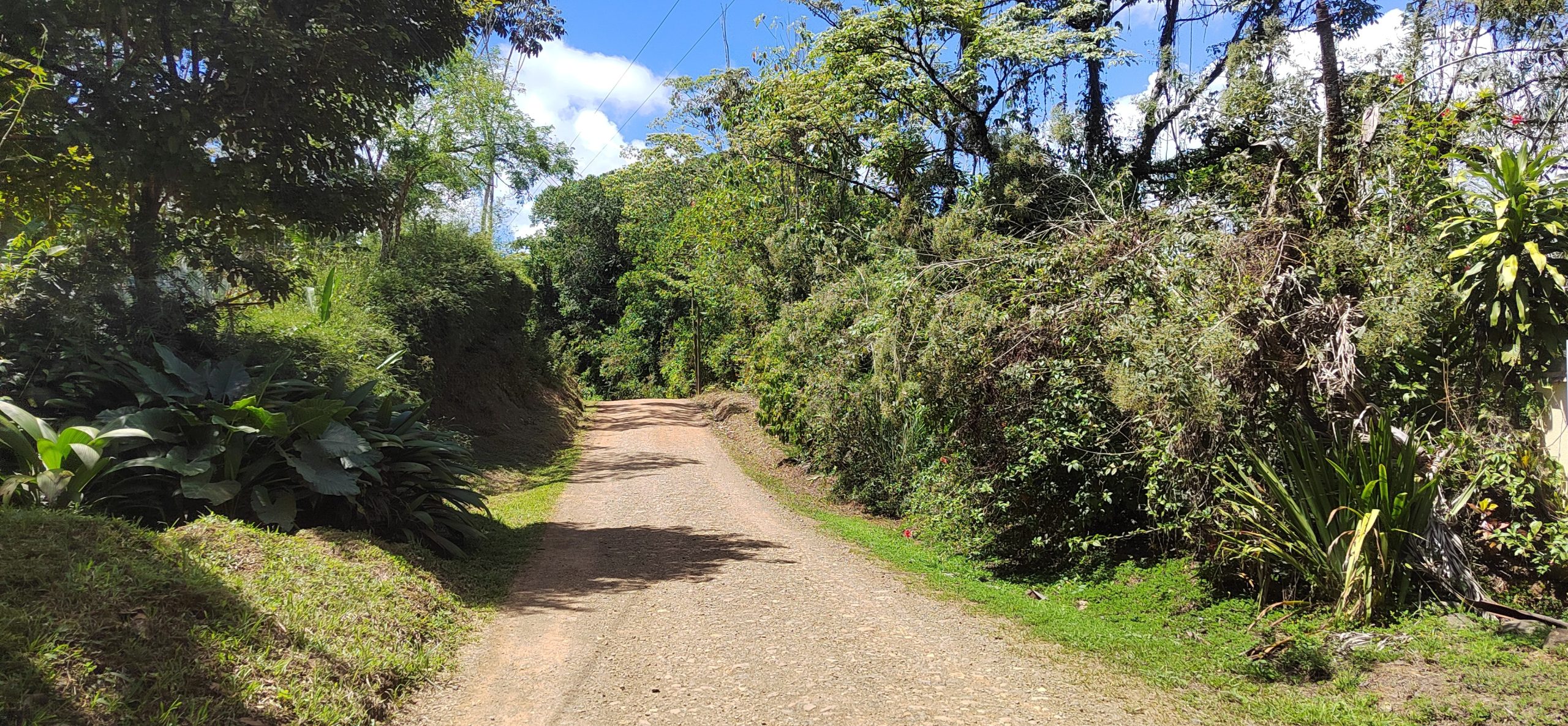 IMG_20260217_122959_edit_310972165690538