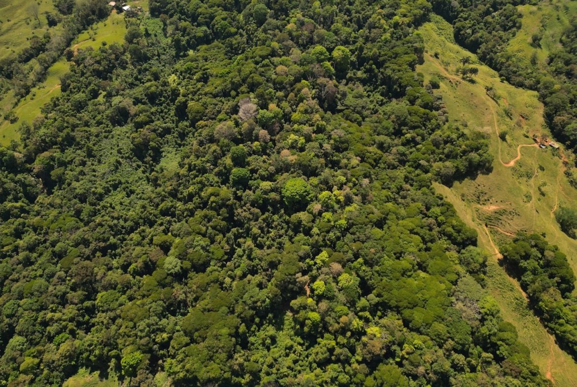 DEVELOPMENT MOUNTAIN  PROPERTY, IN PLATANILLO – 40.7 ACRES