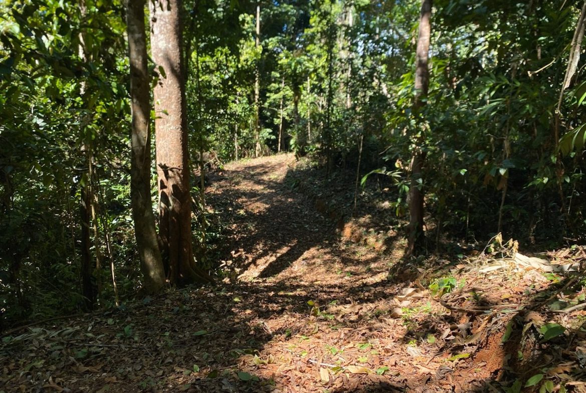 DEVELOPMENT MOUNTAIN  PROPERTY, IN PLATANILLO – 40.7 ACRES