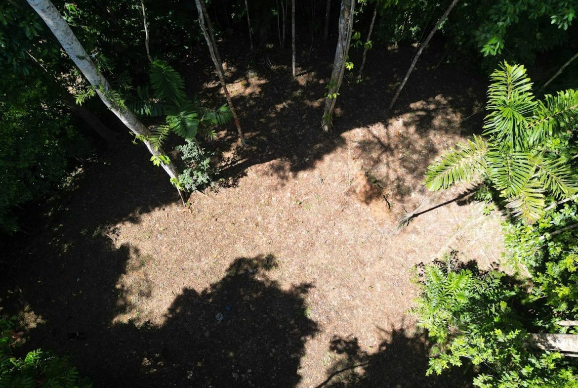 DEVELOPMENT MOUNTAIN  PROPERTY, IN PLATANILLO – 40.7 ACRES