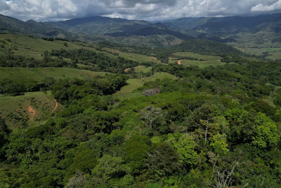 DEVELOPMENT MOUNTAIN  PROPERTY, IN PLATANILLO – 40.7 ACRES