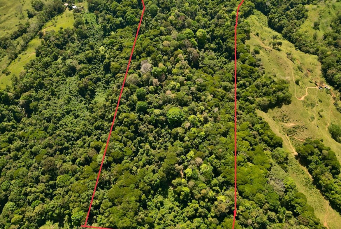DEVELOPMENT MOUNTAIN  PROPERTY, IN PLATANILLO – 40.7 ACRES