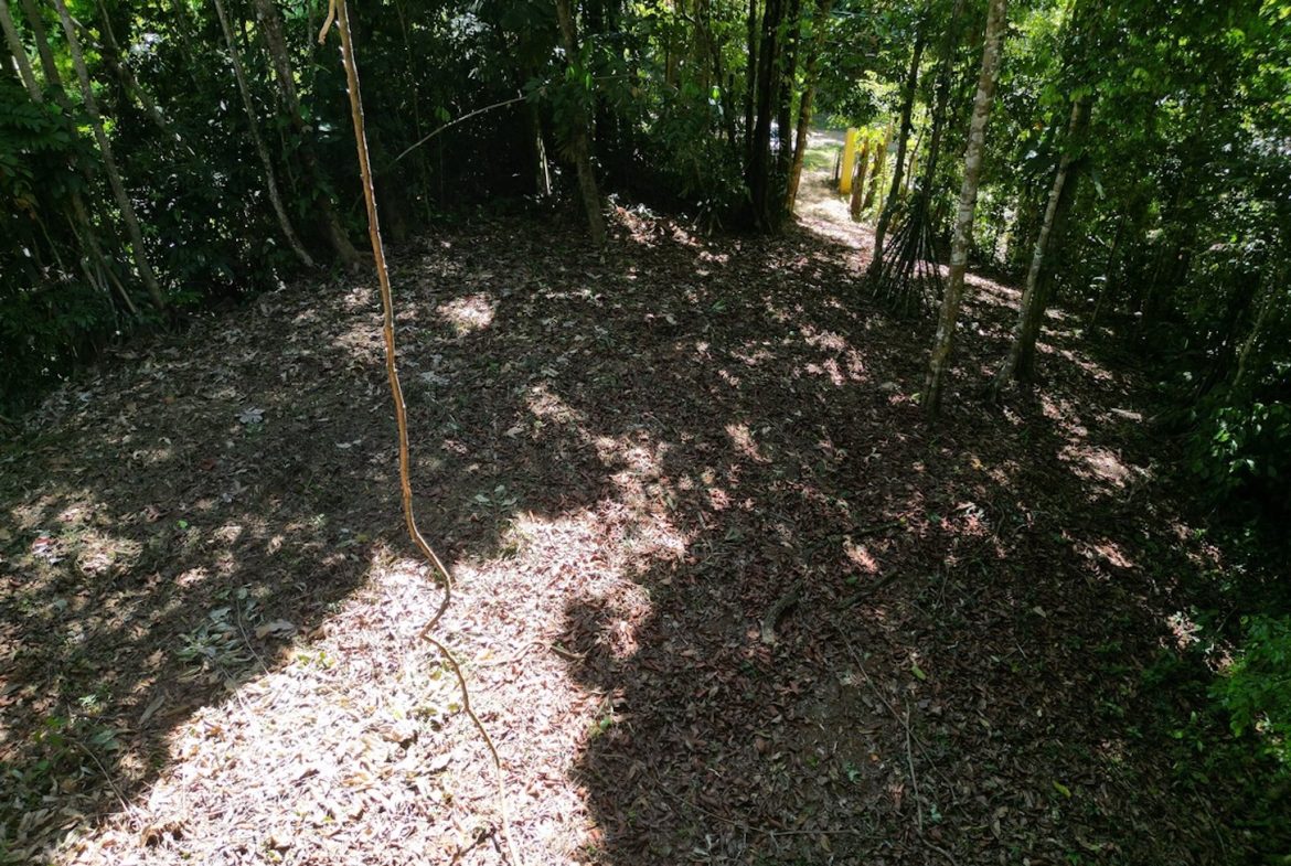 DEVELOPMENT MOUNTAIN  PROPERTY, IN PLATANILLO – 40.7 ACRES