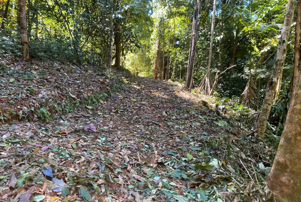 DEVELOPMENT MOUNTAIN  PROPERTY, IN PLATANILLO – 40.7 ACRES