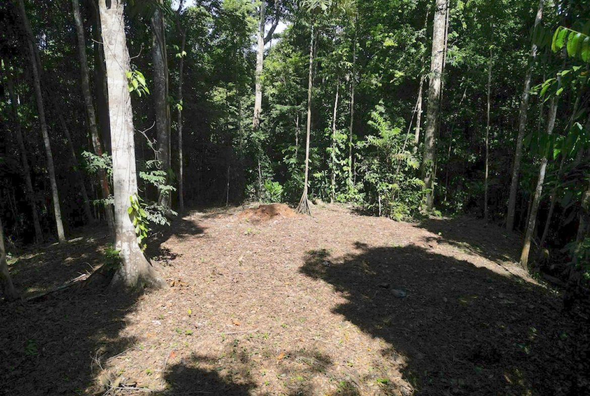 DEVELOPMENT MOUNTAIN  PROPERTY, IN PLATANILLO – 40.7 ACRES