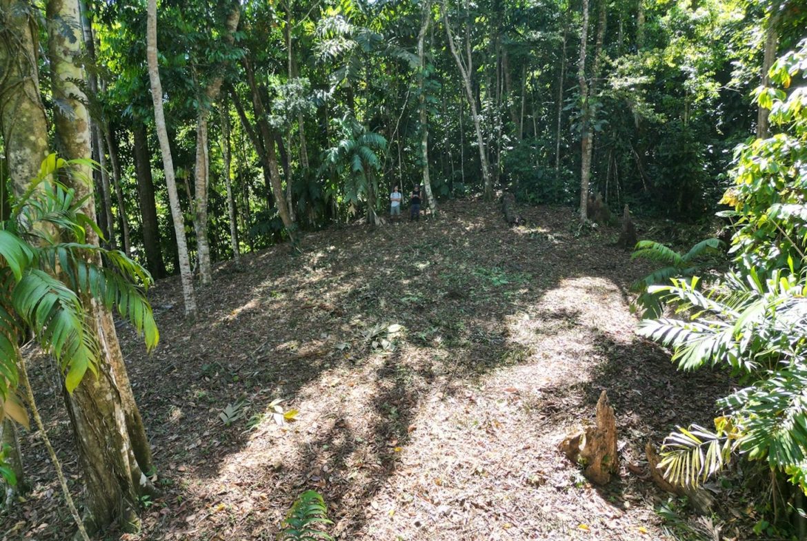 DEVELOPMENT MOUNTAIN  PROPERTY, IN PLATANILLO – 40.7 ACRES