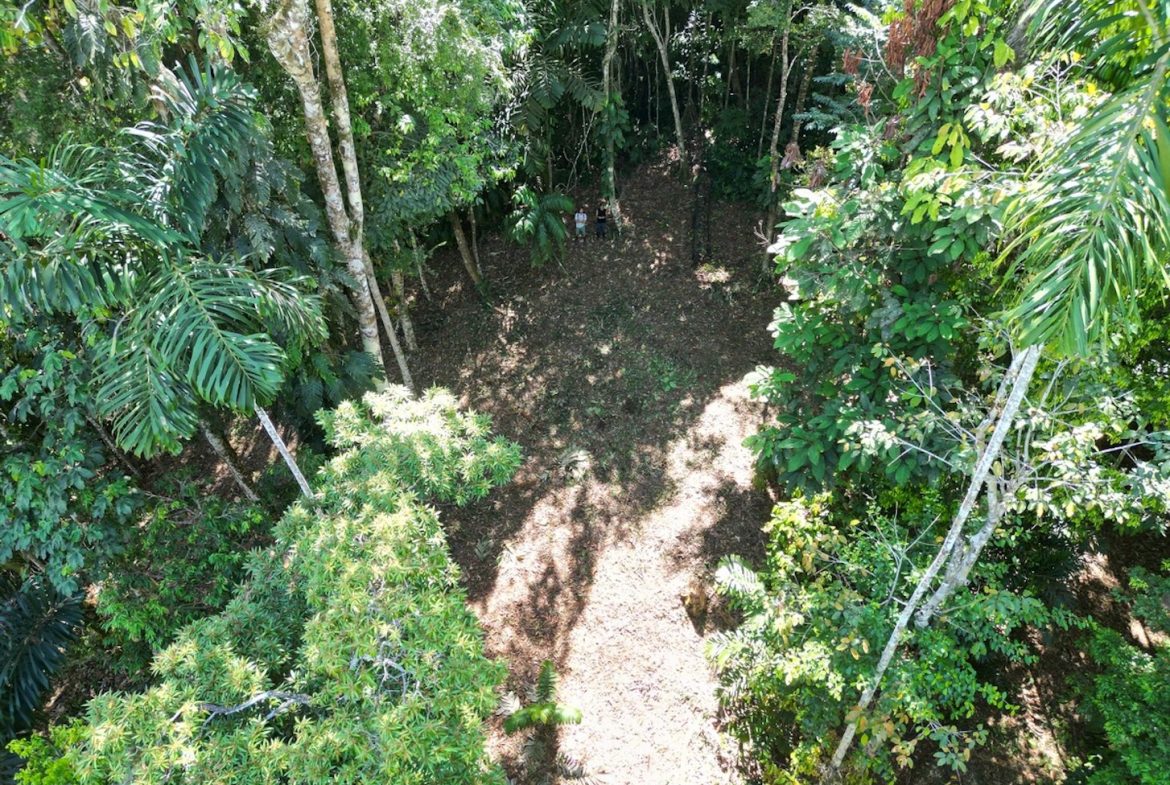 DEVELOPMENT MOUNTAIN  PROPERTY, IN PLATANILLO – 40.7 ACRES