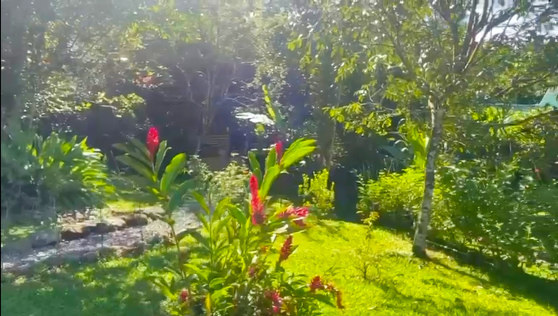 Screenshot_20260224_080547_edit_576291081070420