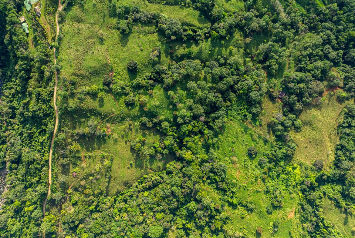 VIENTO LINDO MOUNTAIN PROPERTY  WITH MODERN FINISHES AND LARGE LAND WITH BEAUTIFUL VIEWS, IN TRES PIEDRAS – 5 ACRES