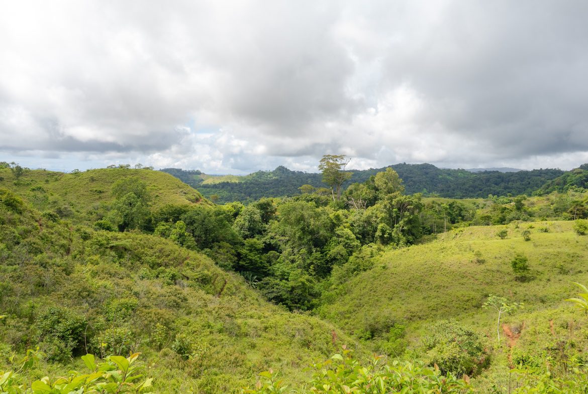 DEVELOPMENT PROPERTY WITH MOUNTAIN AND OCEAN VIEWS, IN SIERPE – 1.917 ACRES