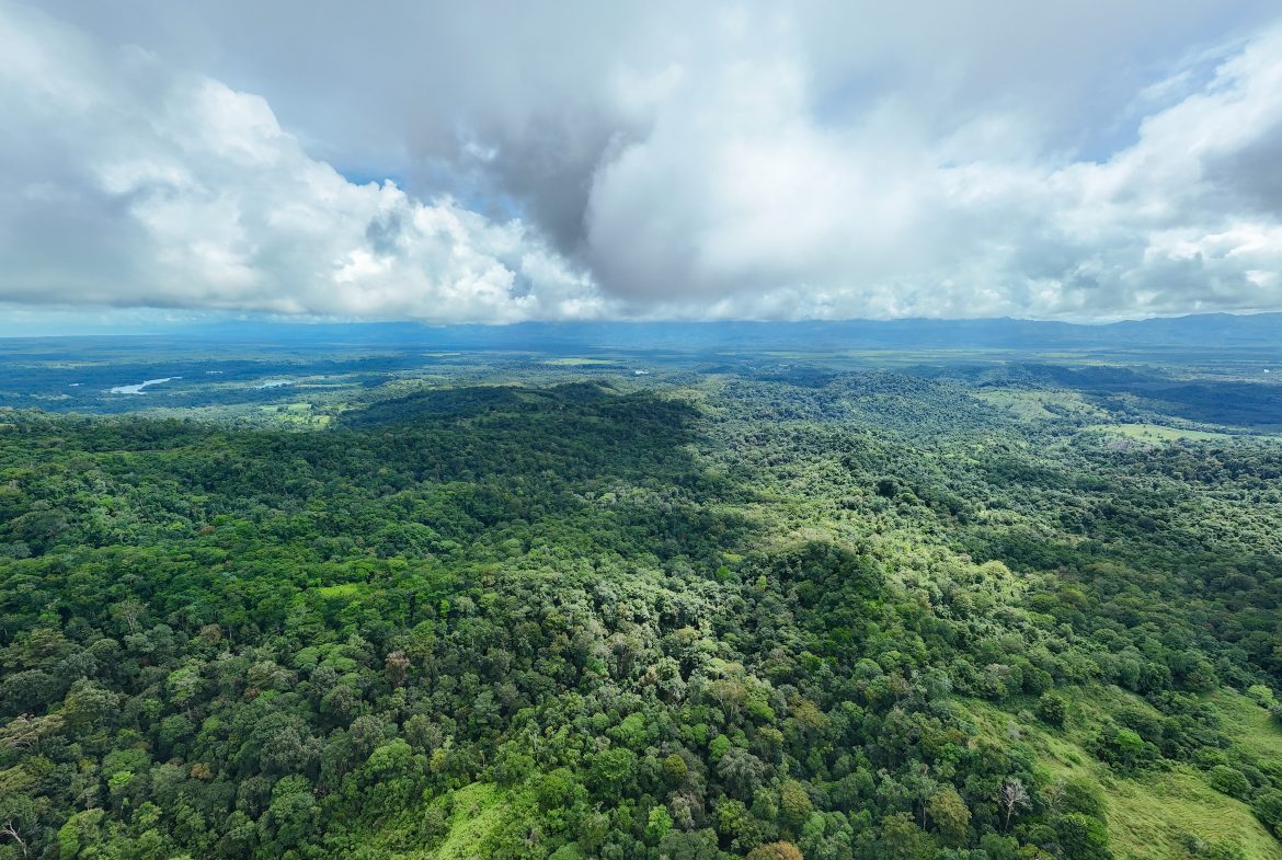DEVELOPMENT PROPERTY WITH MOUNTAIN AND OCEAN VIEWS, IN SIERPE – 1.917 ACRES