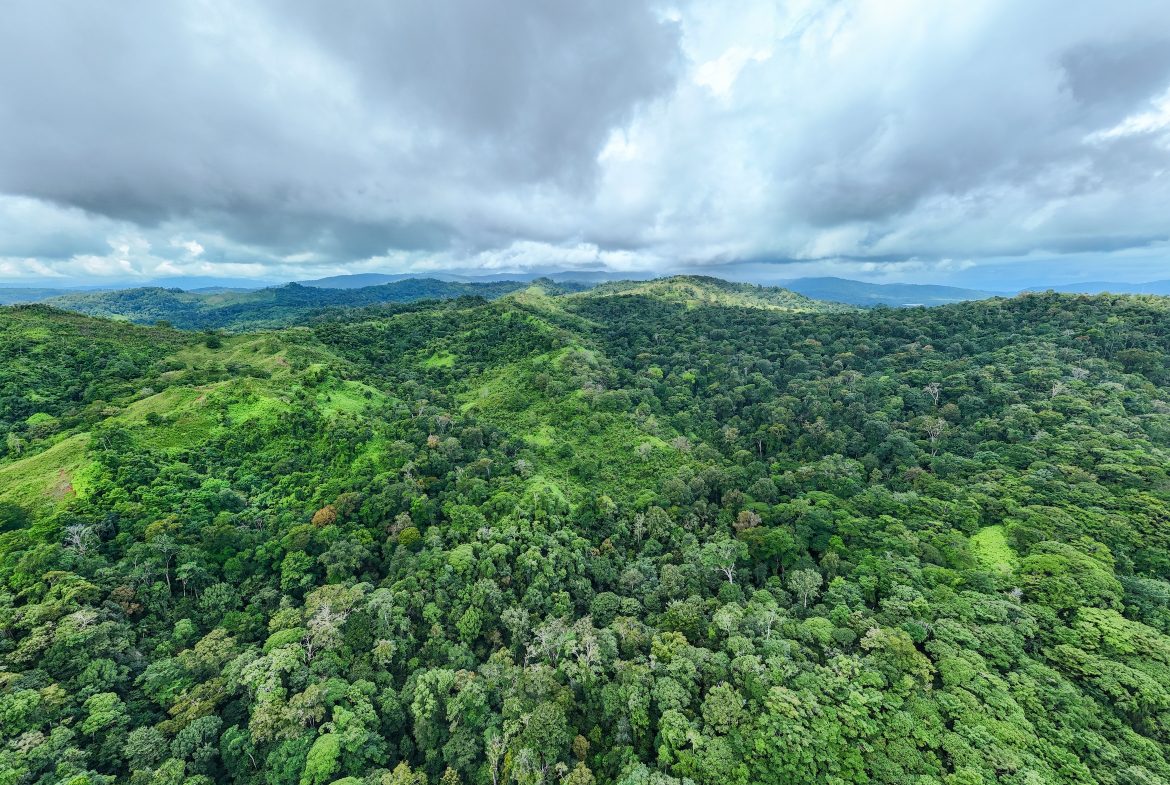 DEVELOPMENT PROPERTY WITH MOUNTAIN AND OCEAN VIEWS, IN SIERPE – 1.917 ACRES