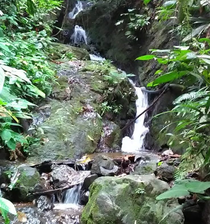 DEVELOPMENT PROPERTY WITH MOUNTAIN AND OCEAN VIEWS, IN SIERPE – 1.917 ACRES