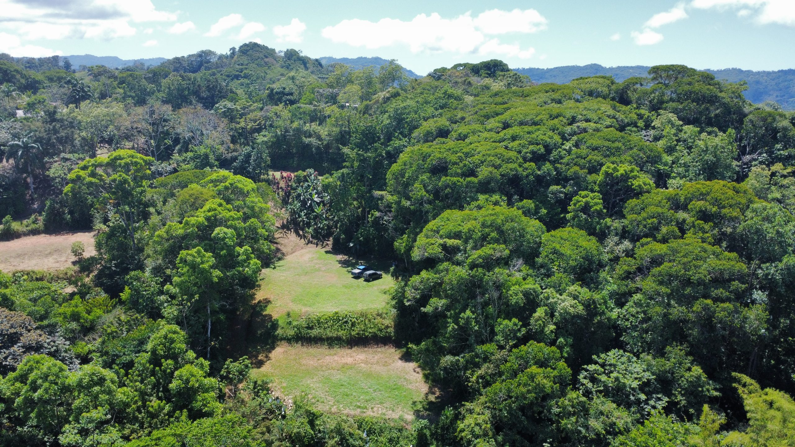 dji_fly_20260217_111650_469_1771348671072_photo_optimized