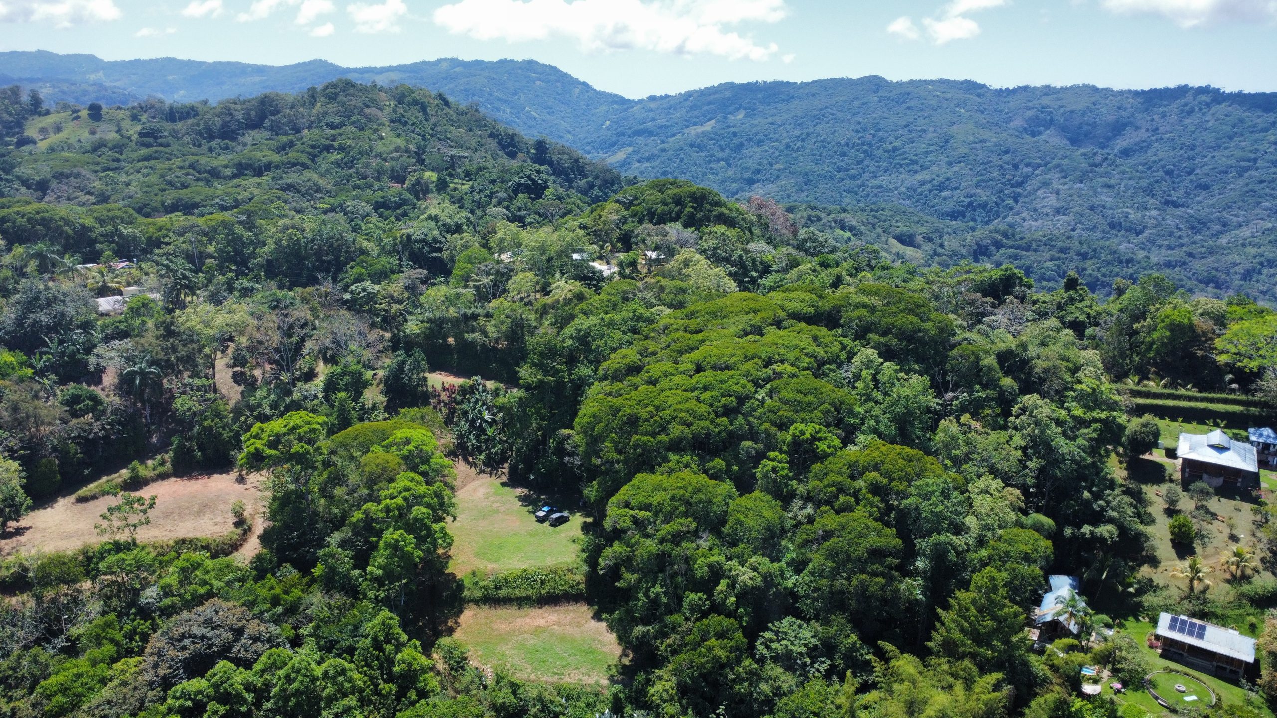 dji_fly_20260217_111716_470_1771348667976_photo_optimized