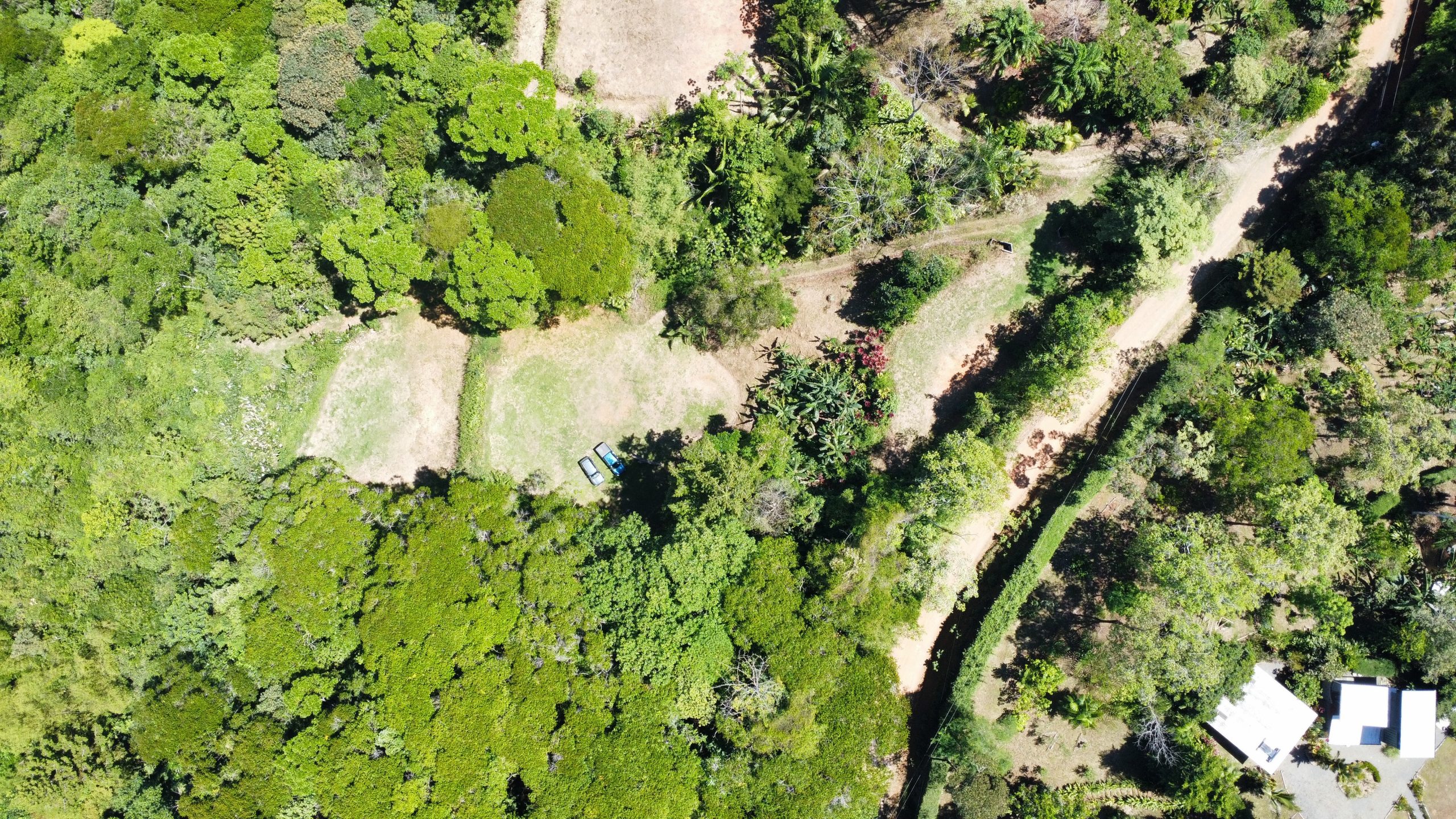 dji_fly_20260217_111946_473_1771348796322_photo_optimized