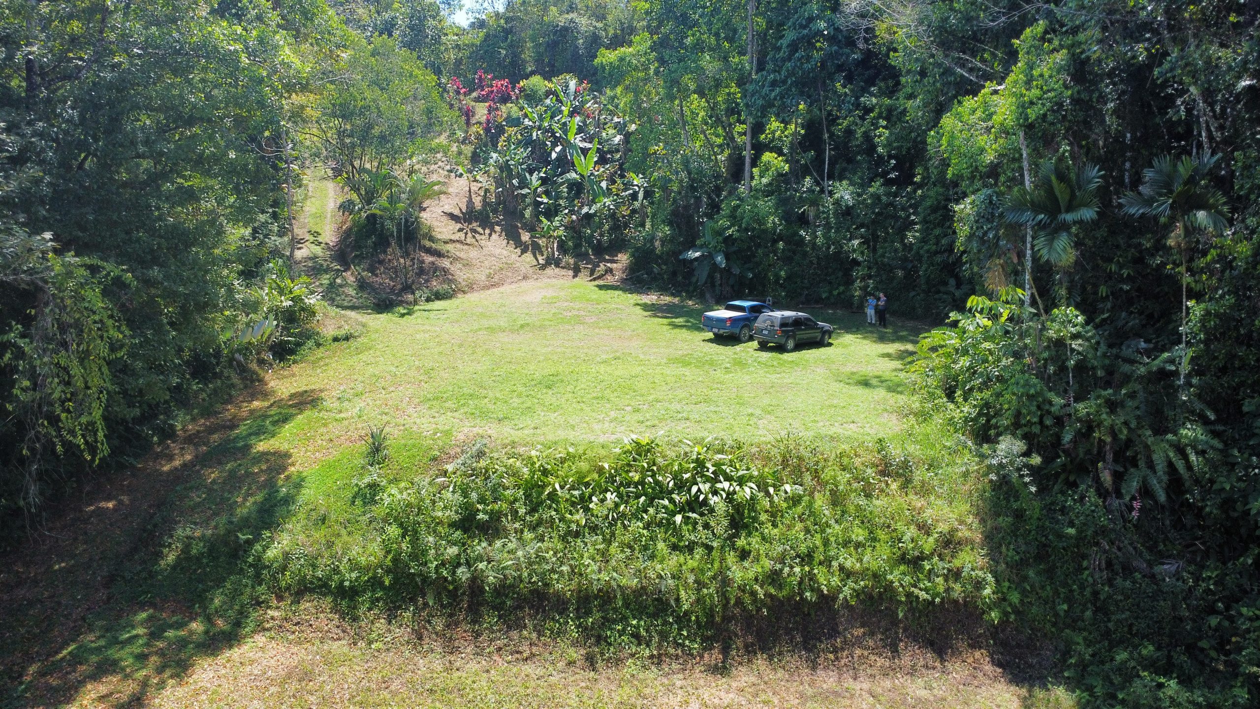 dji_fly_20260217_112142_474_1771348931701_photo_optimized