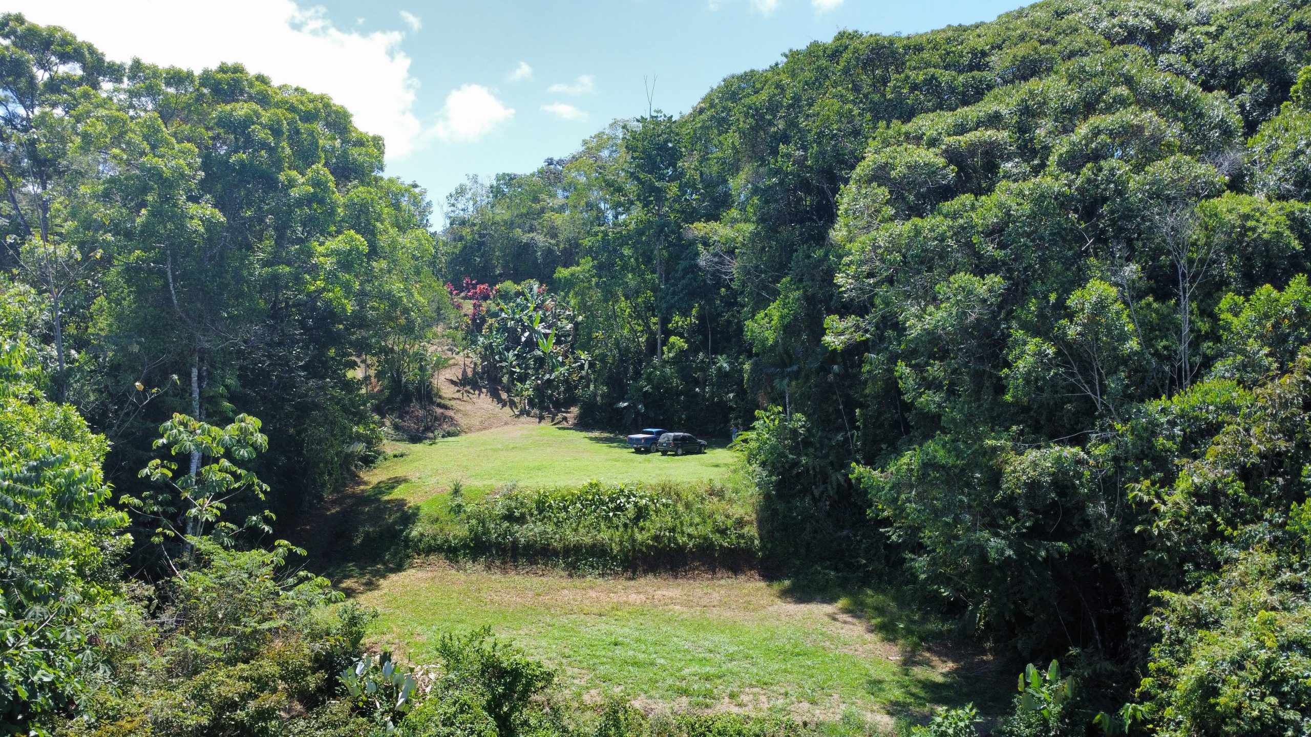 dji_fly_20260217_112158_475_1771348927897_photo_optimized