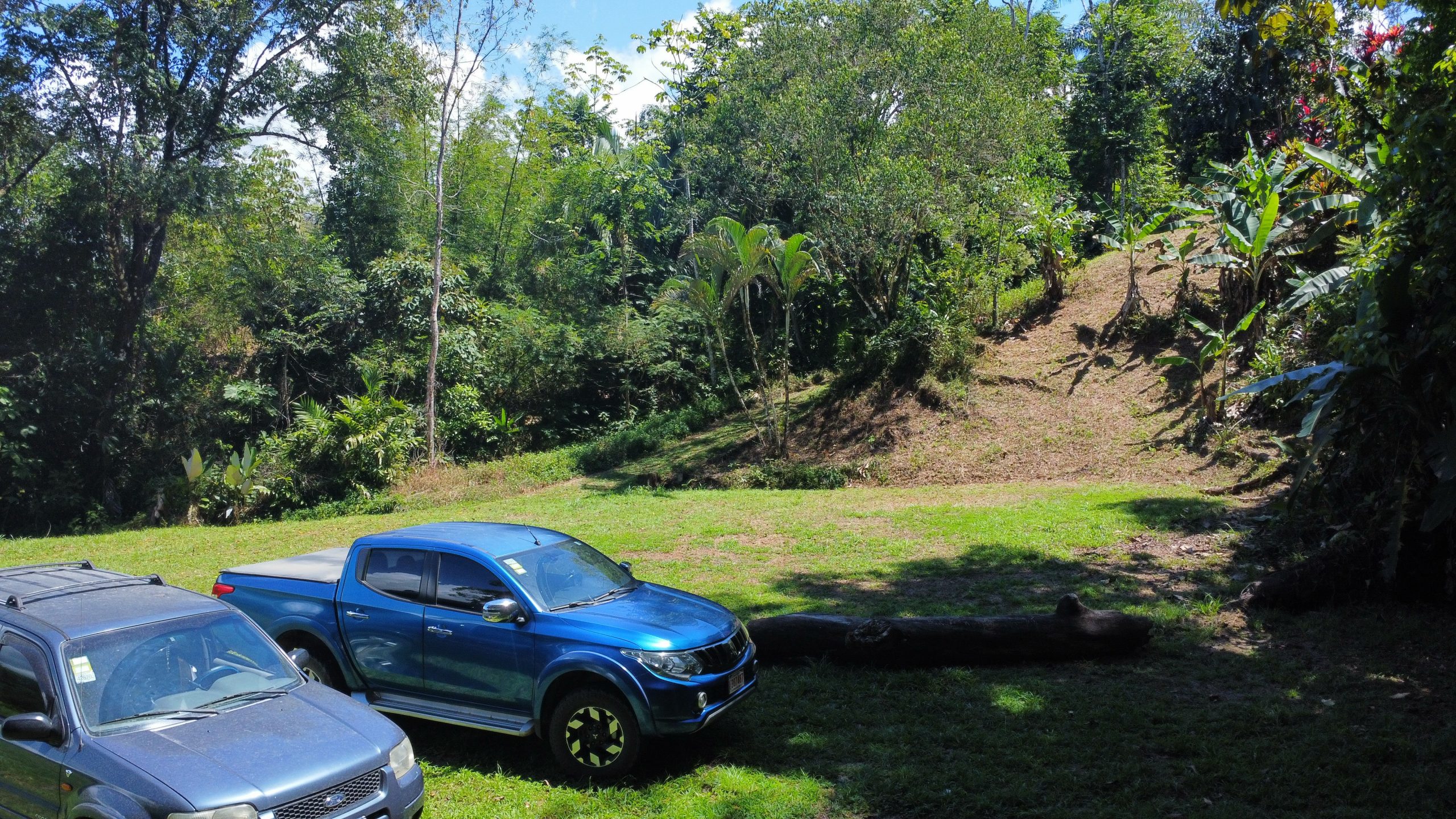 dji_fly_20260217_112904_484_1771349353911_photo_optimized