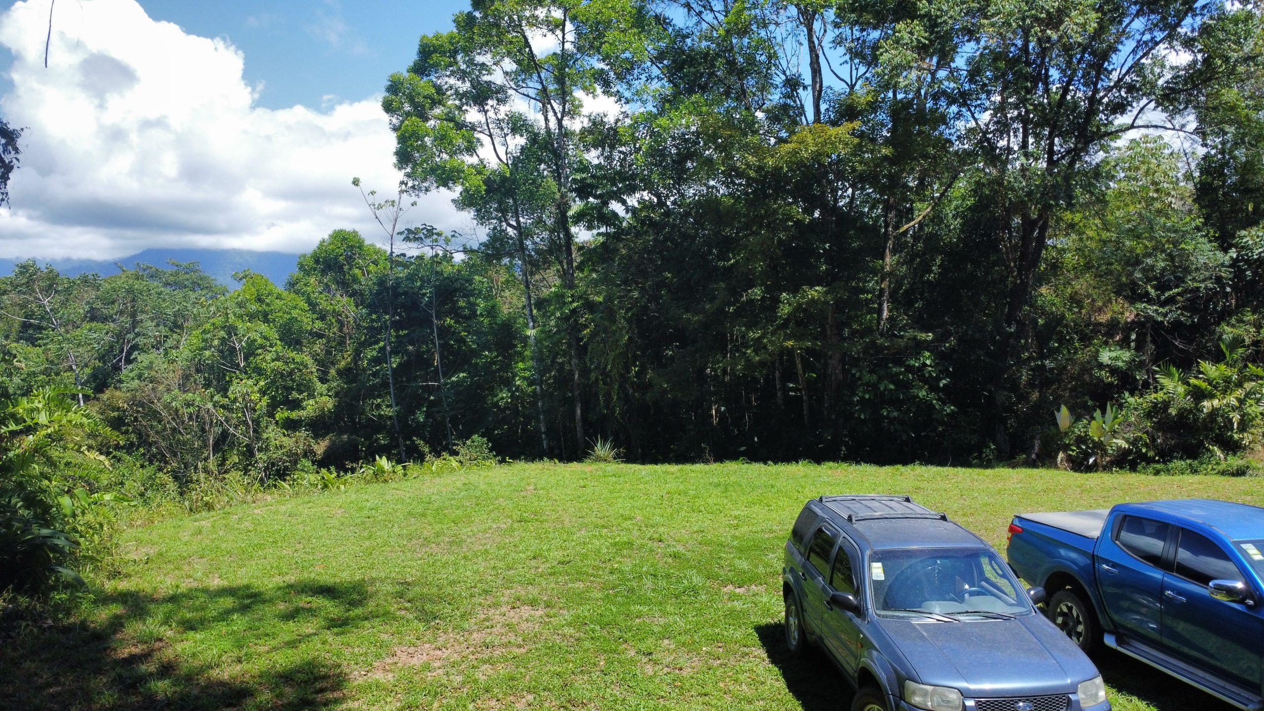 dji_fly_20260217_112936_485_1771349385746_photo_optimized