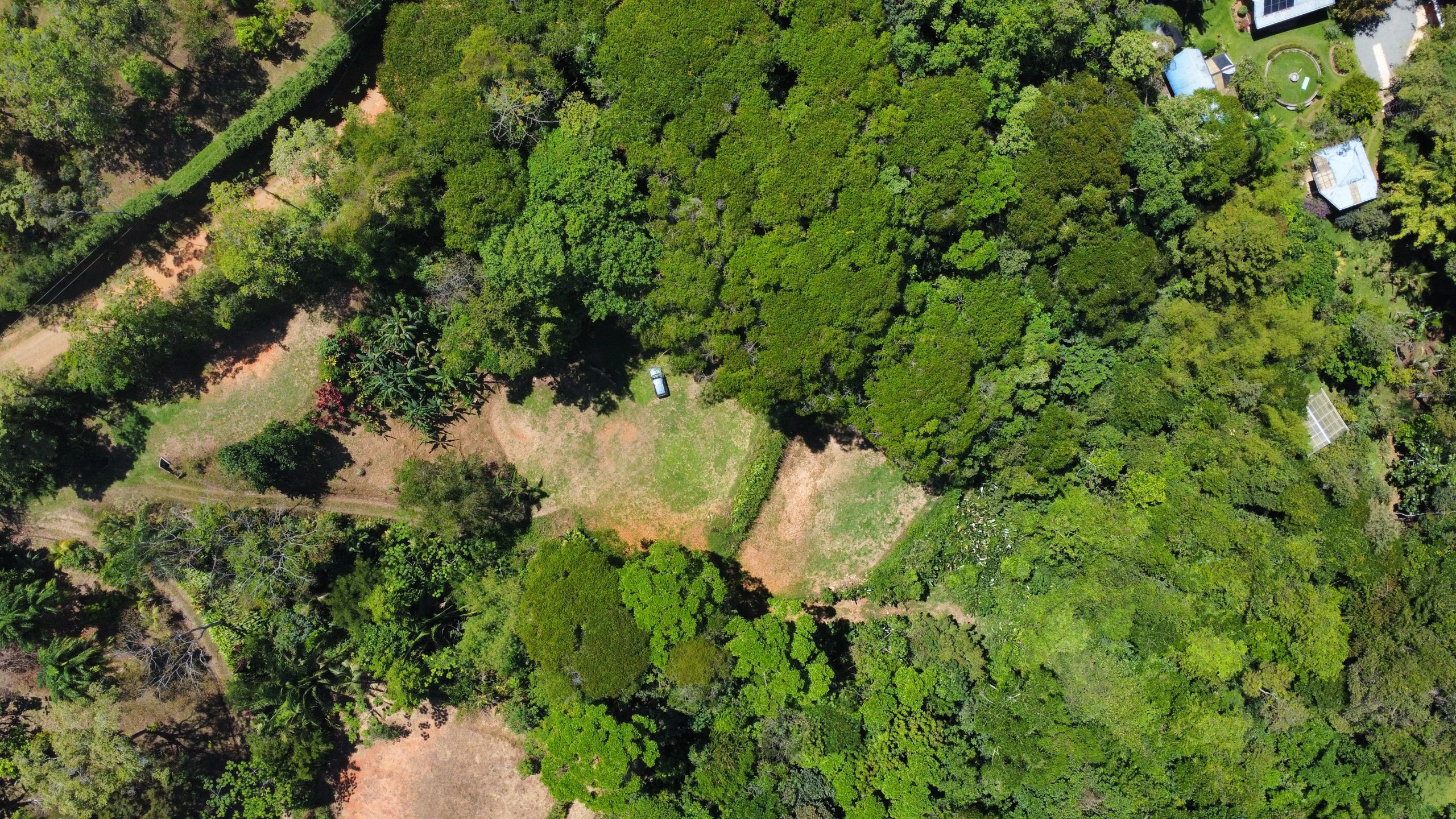 dji_fly_20260217_113800_489_1771349890365_photo_optimized