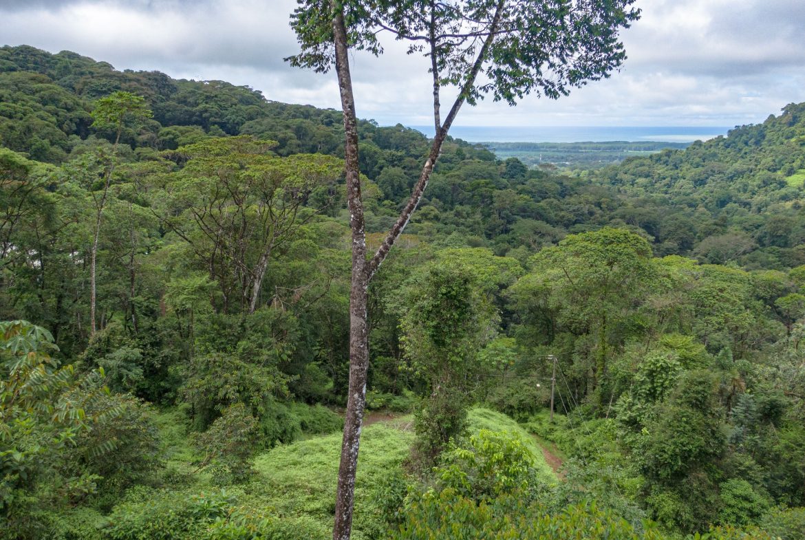 BUILDING PROPERTY WITH RIVER AND OCEAN VIEWS, IN PORTASOL – 2.04 ACRES