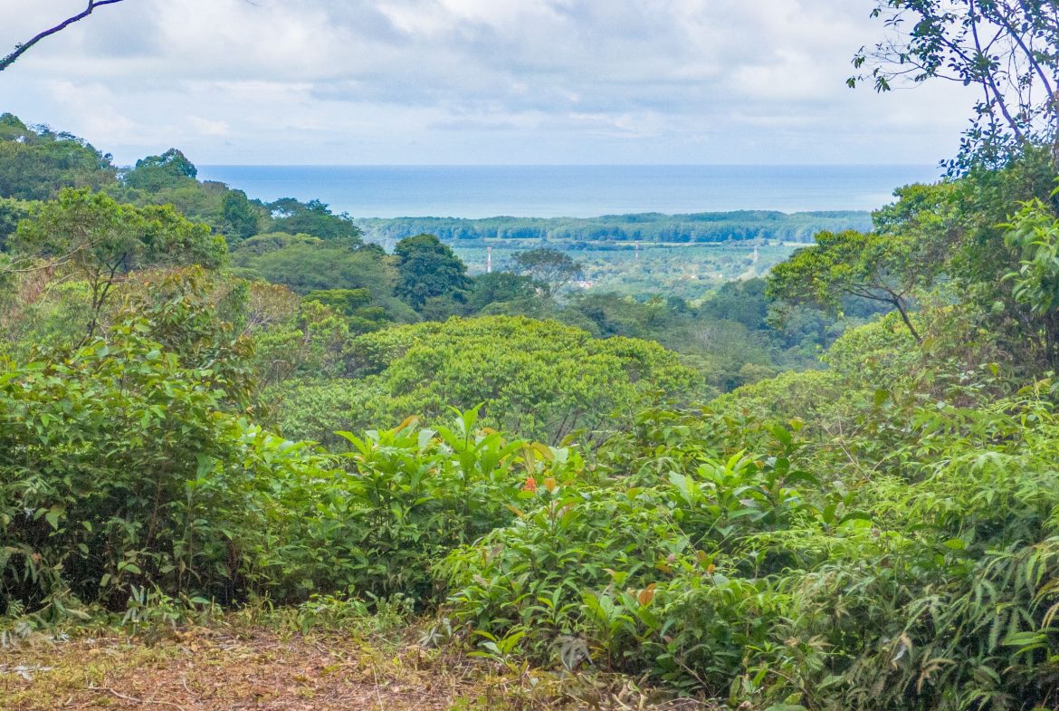 BUILDING PROPERTY WITH RIVER AND OCEAN VIEWS, IN PORTASOL – 2.04 ACRES