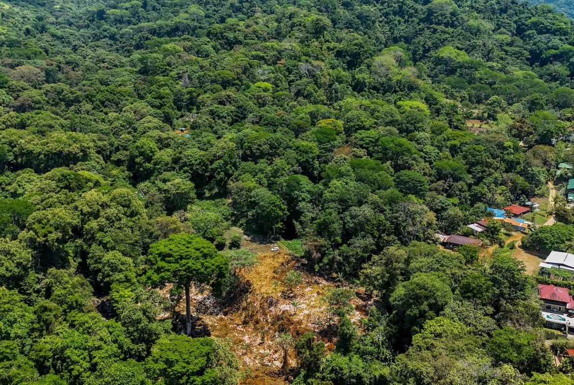 BUILDING PROPERTY WITH MOUNTAIN VIEWS AND CREEK, IN OJOCHAL – 2.46 ACRES
