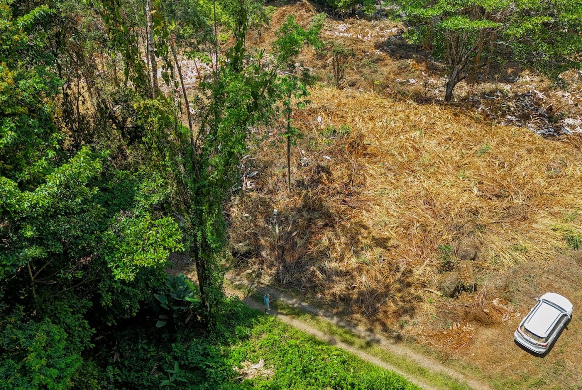 BUILDING PROPERTY WITH MOUNTAIN VIEWS AND CREEK, IN OJOCHAL – 2.46 ACRES