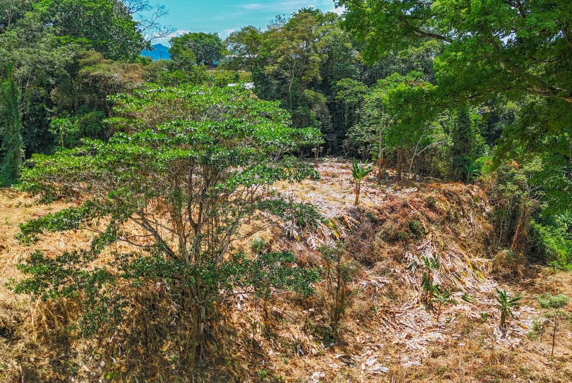 BUILDING PROPERTY WITH MOUNTAIN VIEWS AND CREEK, IN OJOCHAL – 2.46 ACRES