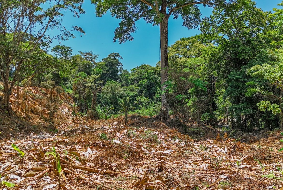 BUILDING PROPERTY WITH MOUNTAIN VIEWS AND CREEK, IN OJOCHAL – 2.46 ACRES