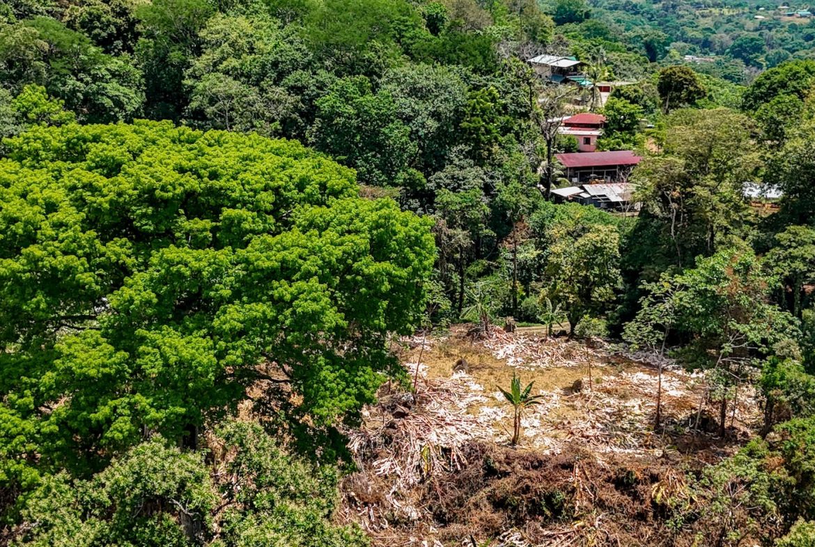 BUILDING PROPERTY WITH MOUNTAIN VIEWS AND CREEK, IN OJOCHAL – 2.46 ACRES